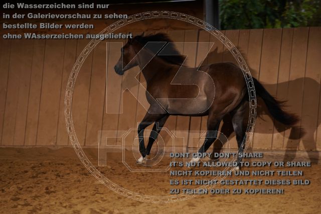 s_K3F05473.JPG